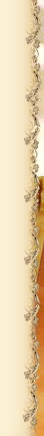 Associação Apostolado do Sagrado Coração de Jesus