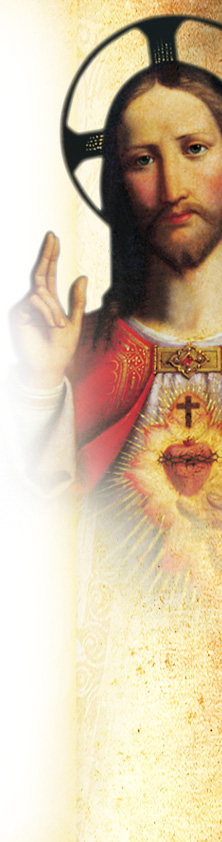 Associação Apostolado do Sagrado Coração de Jesus