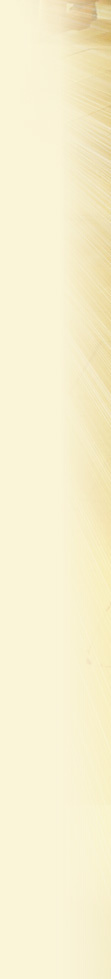Associação Apostolado do Sagrado Coração de Jesus