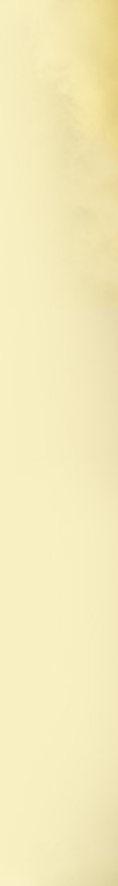 Associação Apostolado do Sagrado Coração de Jesus