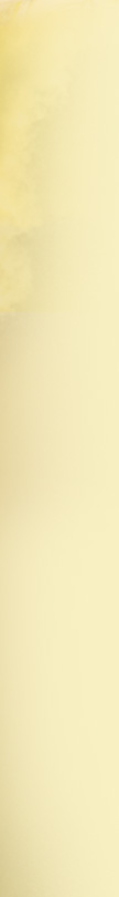 Associação Apostolado do Sagrado Coração de Jesus