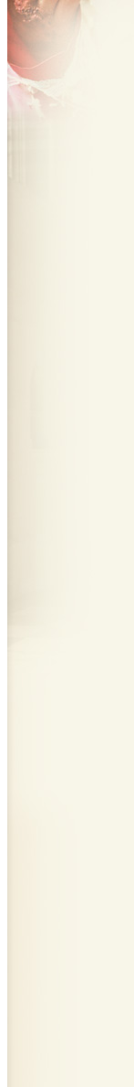 Associação Apostolado do Sagrado Coração de Jesus