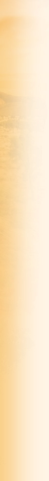 Associação Apostolado do Sagrado Coração de Jesus