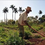 agricultor