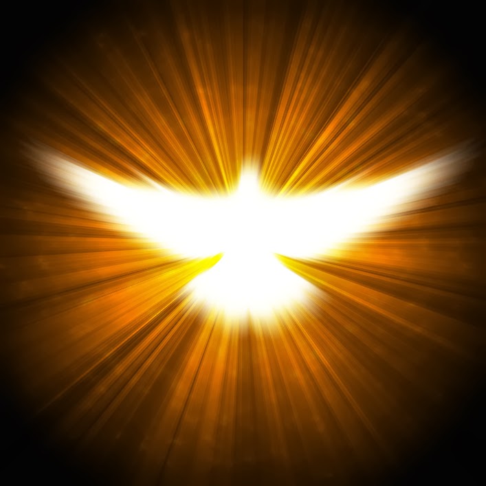 "O Espírito Santo é uma luz e uma força. É ele que nos faz distinguir o verdadeiro do falso e o bem do mal".