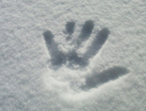 Neve