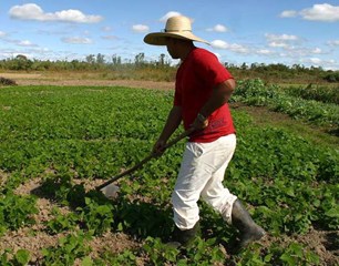 Trabalhador rural que seguiu os três conselhos.