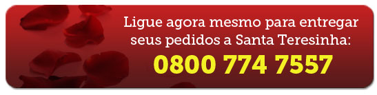 Missa da Chuva de Rosas de Santa Teresinha
