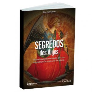 Devemos recorrer aos Anjos da Guarda, antes que seja tarde…