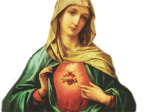 Coração de Maria - Fundo Transparente